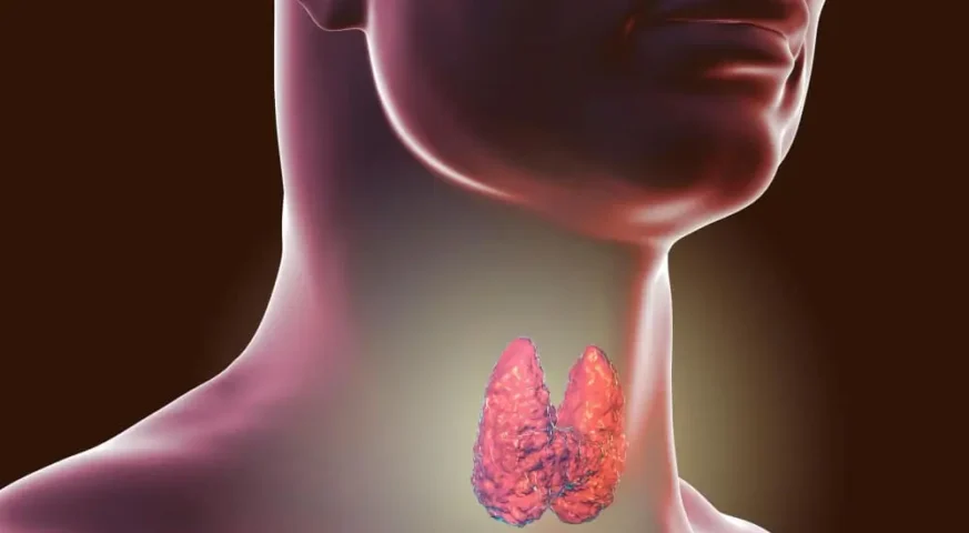 عملية الغدة الدرقية في عمان استئصال الغدة الدرقية في عمان جراح غدة درقية في عمان